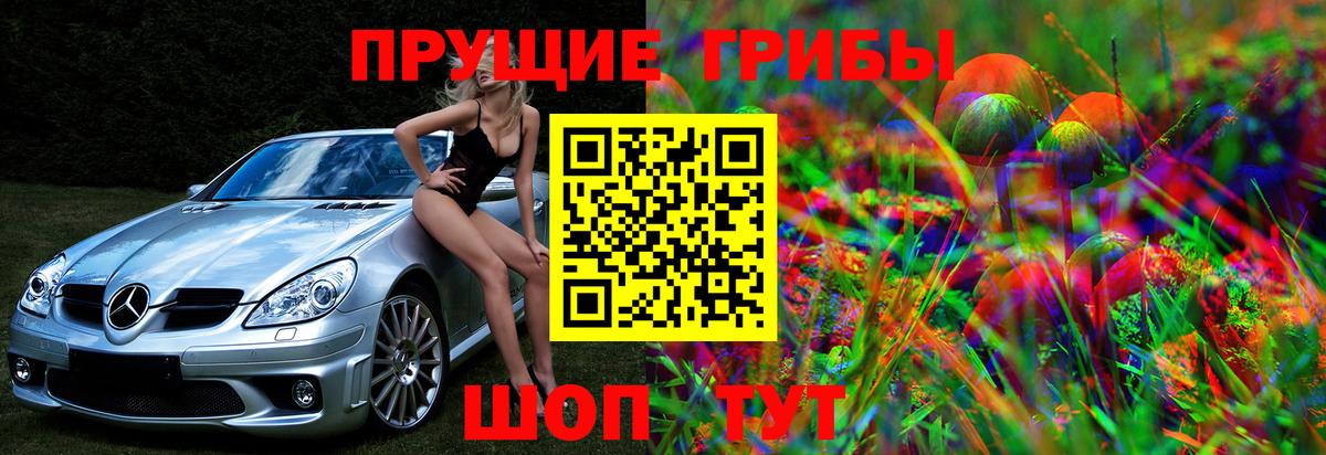 Михайловка  Псилоцибиновые грибы Cubensis  купить наркотик  Вход с VPN 