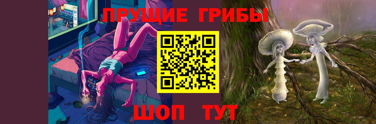Псилоцибиновые грибы Cubensis Михайловка
